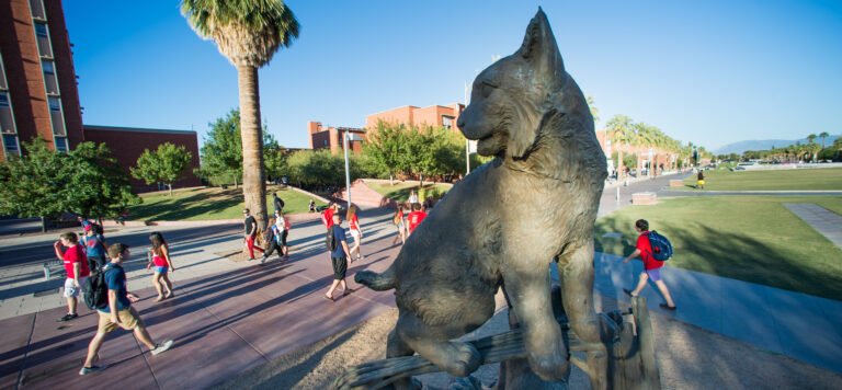 Uofa Academic Calendar