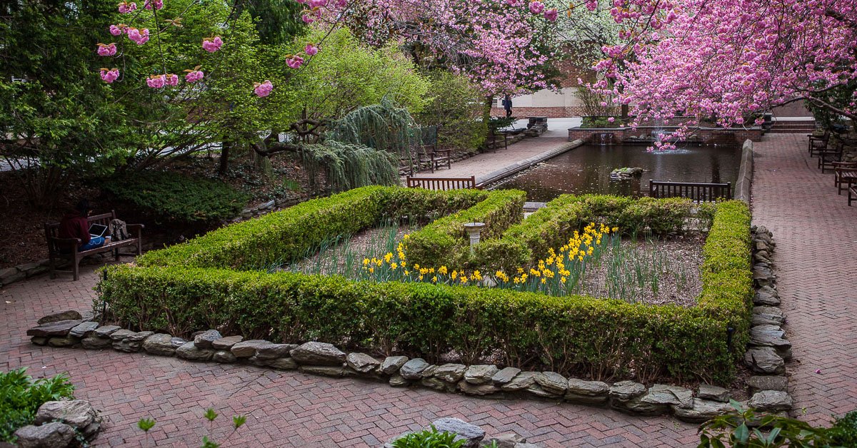 CE 230920 LilyPond 4