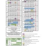 Calendario 25 26 15 semanas v19 MODIFICACION MAYO 2025 23042026 correccion visita Papa 12062026 v2 page 0001 1