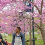 academic calendars impact