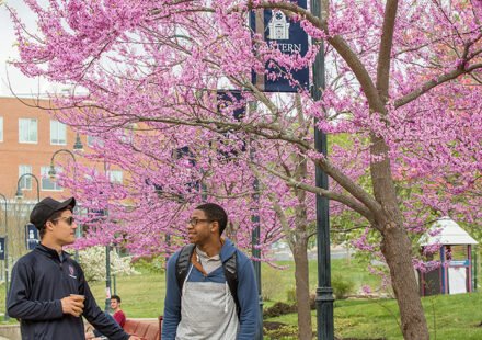 academic calendars impact