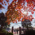 apsu autumn