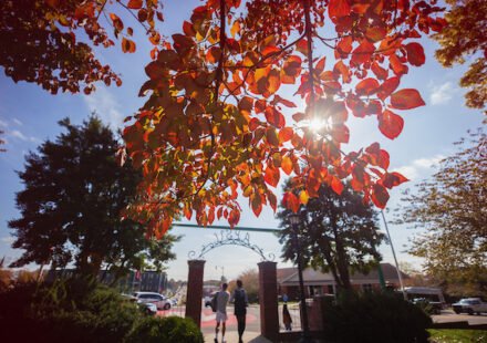 apsu autumn