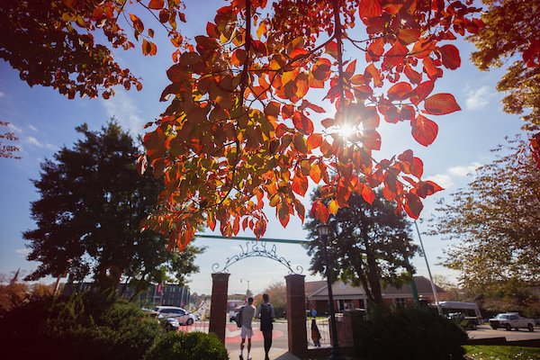 apsu autumn