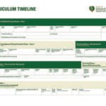 bsom curriculum timeline graphic