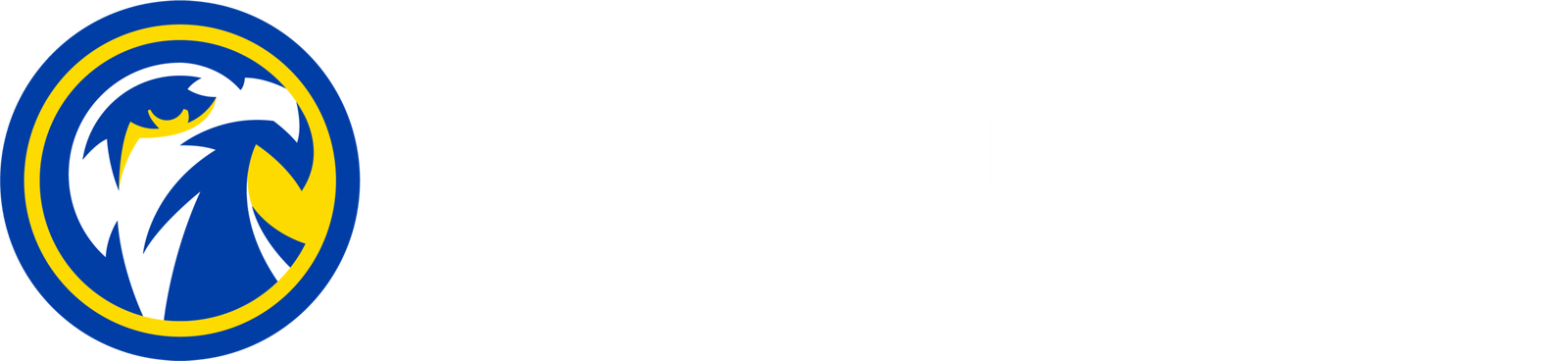 logo scaled